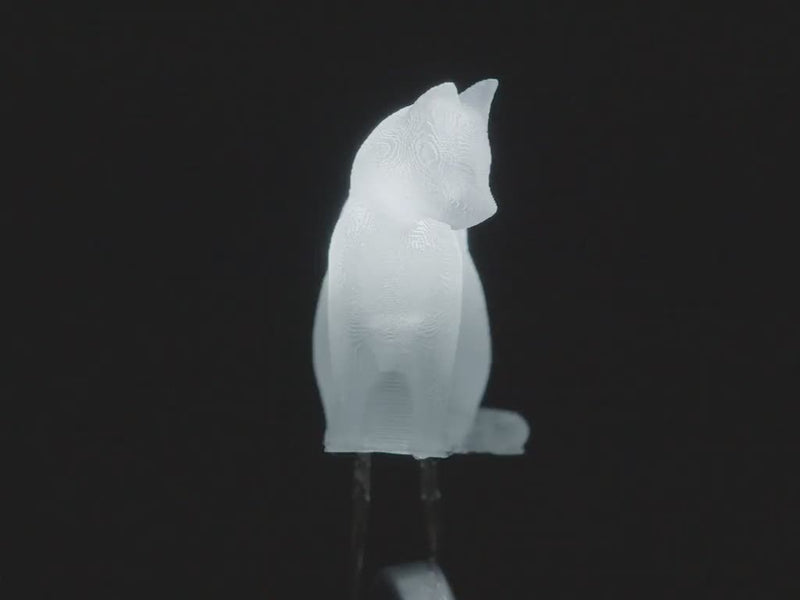 Buy dLUX-dLITE Cool White Kitty Shape LEDs 5 Pack by Unexpected Labs