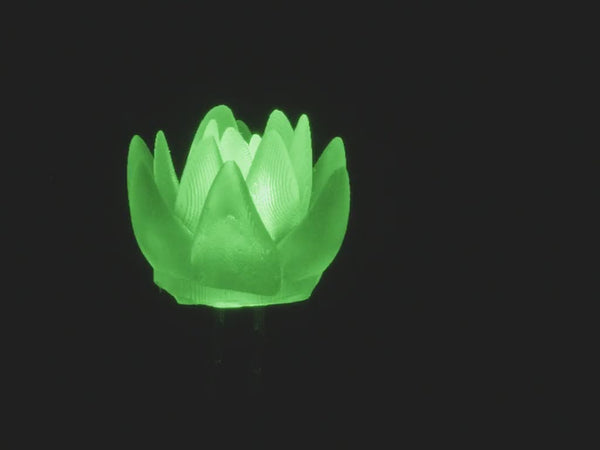 Buy dLUX-dLITE Green Succulent Shape LEDs 5 Pack by Unexpected Labs