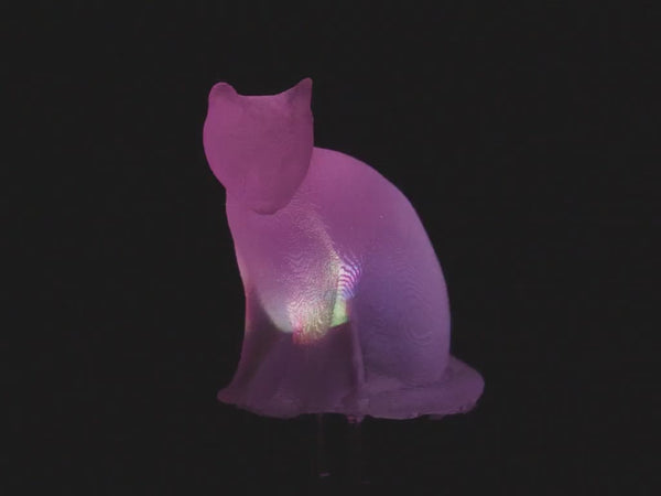 Buy dLUX-dLITE RGB Rainbow Cat Shape LEDs 3 Pack by Unexpected Labs