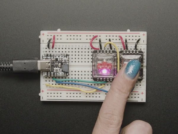 NeoKey Socket Breakout for CHOC Key Switches with NeoPixel